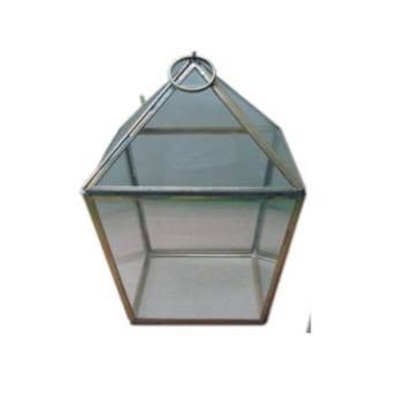 Glass terrarium lantern with brass frame