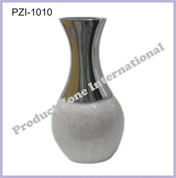 PZI-1010